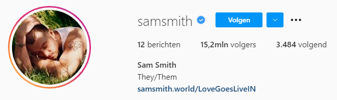 Afbeelding van Sam Smith's Instagram bio waar er de voornaamwoorden (they/them) gebruikt worden.