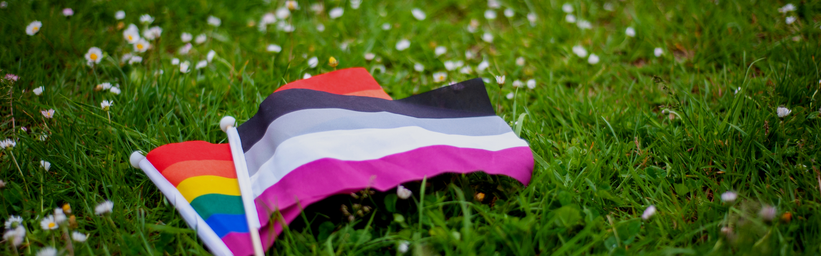 Aseksualiteit vlag